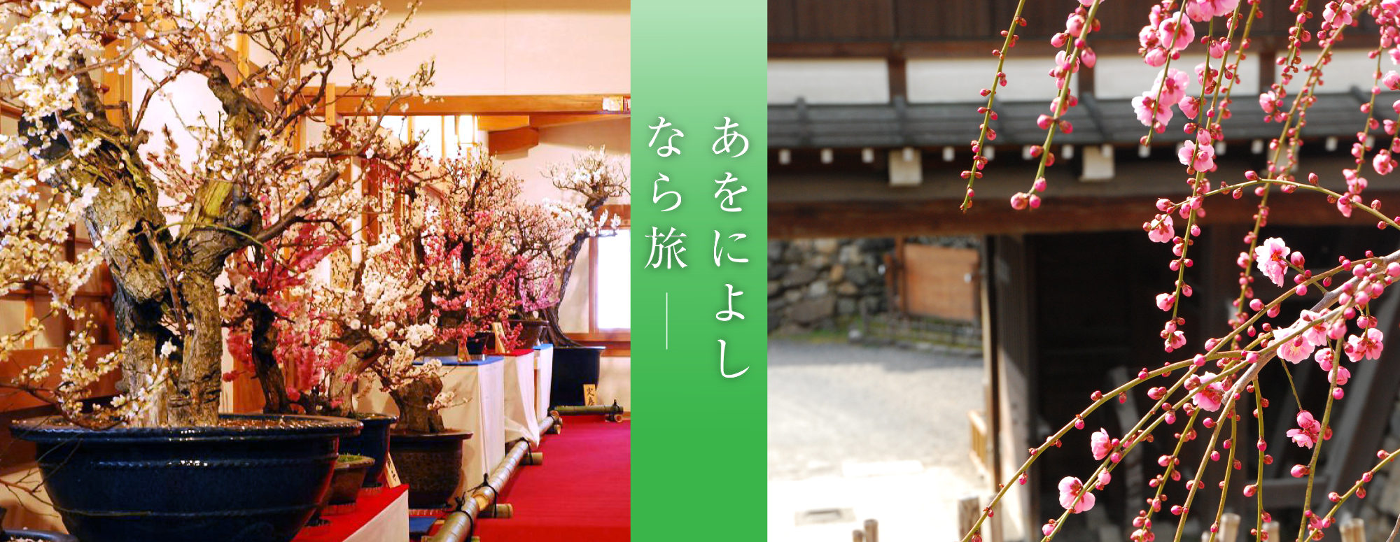 盆梅展（郡山城跡）