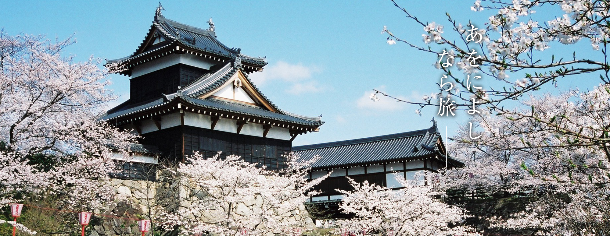 桜（郡山城跡）