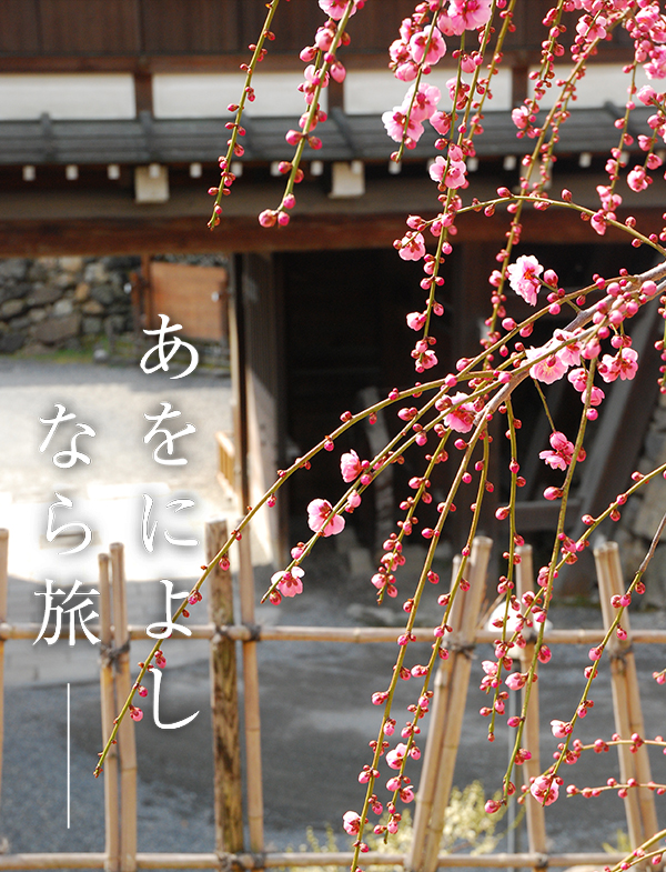 盆梅展（郡山城跡）