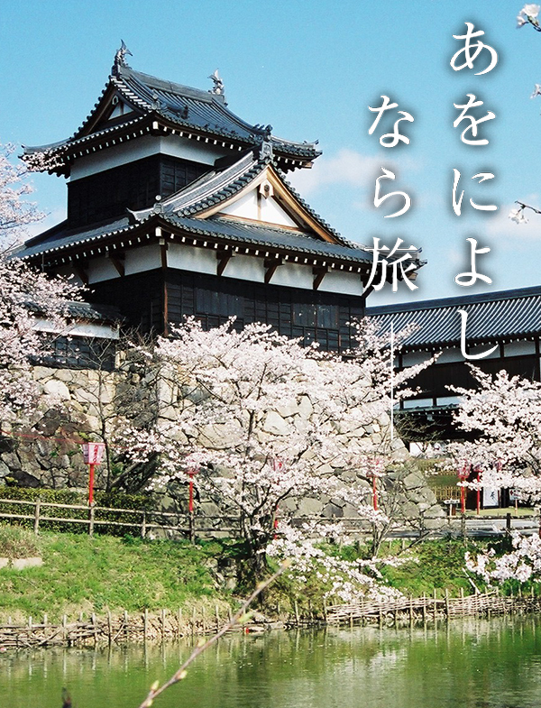桜（郡山城跡）