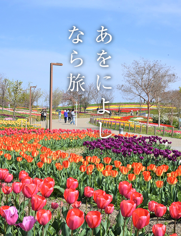 はるいろマルシェ（馬見丘陵公園）