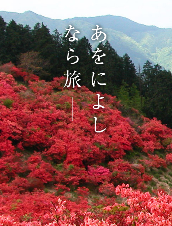 つつじ（葛城高原）