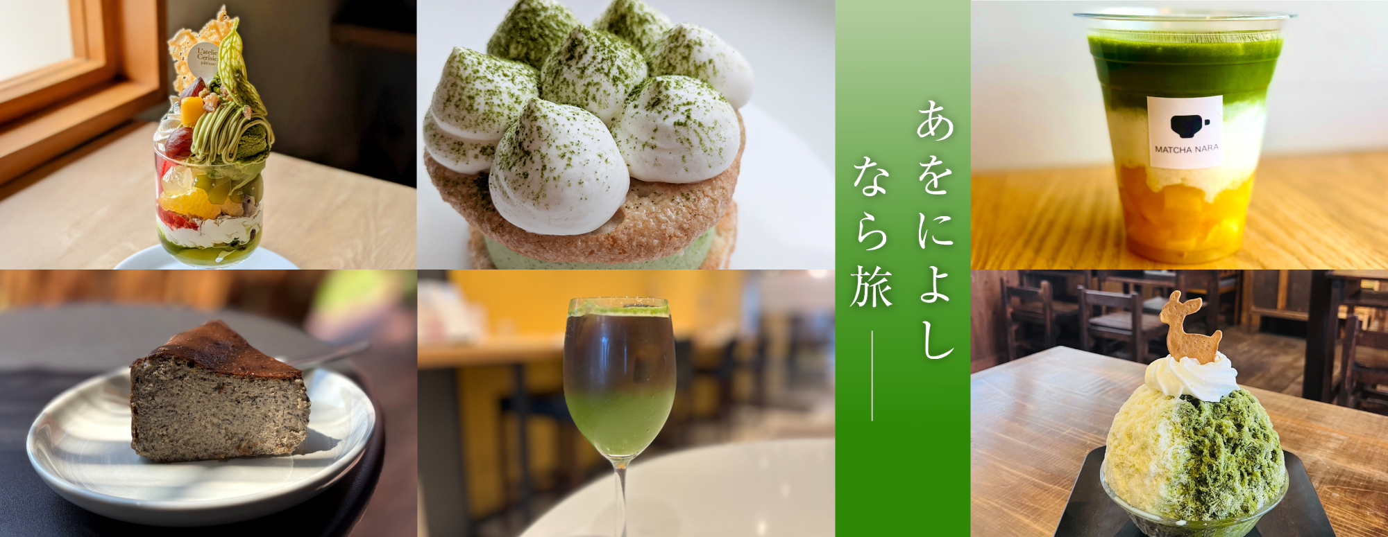 ちゃちゃちゃ大和茶 2026