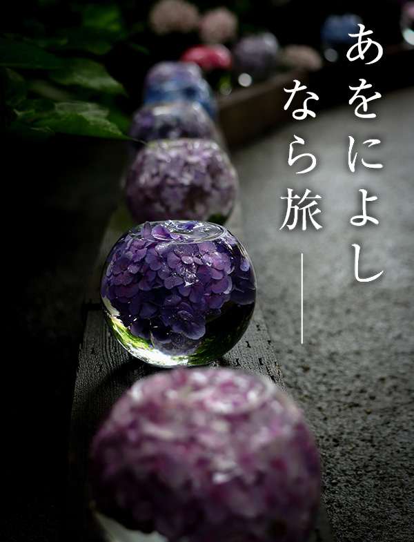 アジサイガラスボール（般若寺）