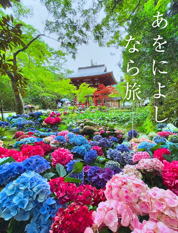 あじさい回廊（室生寺）