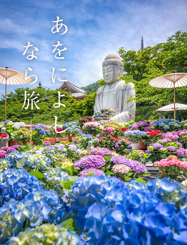 あじさい回廊（壷阪寺）
