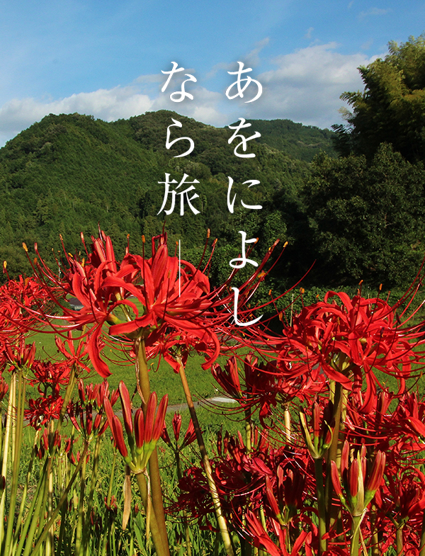 彼岸花（明日香村））