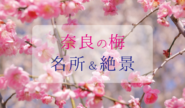 梅の名所＆絶景