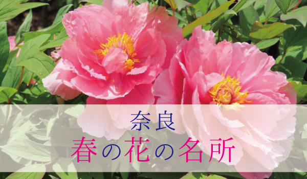 春の花の名所