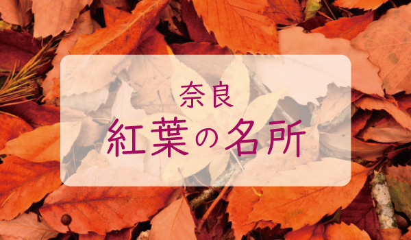 奈良 紅葉の名所
