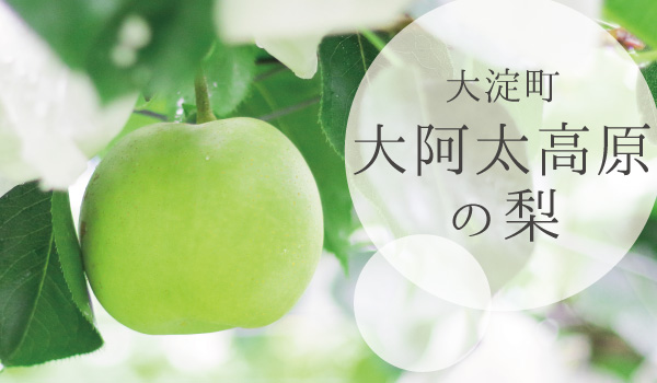 大阿太高原の梨