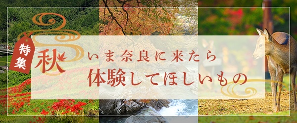 いま奈良に来たら、体験してほしいもの特集