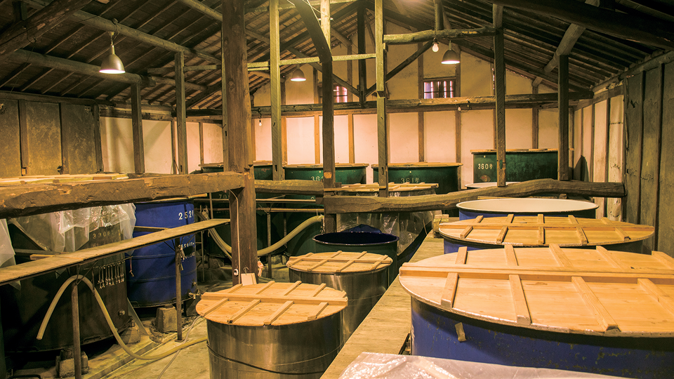 倉本酒造での体験の様子