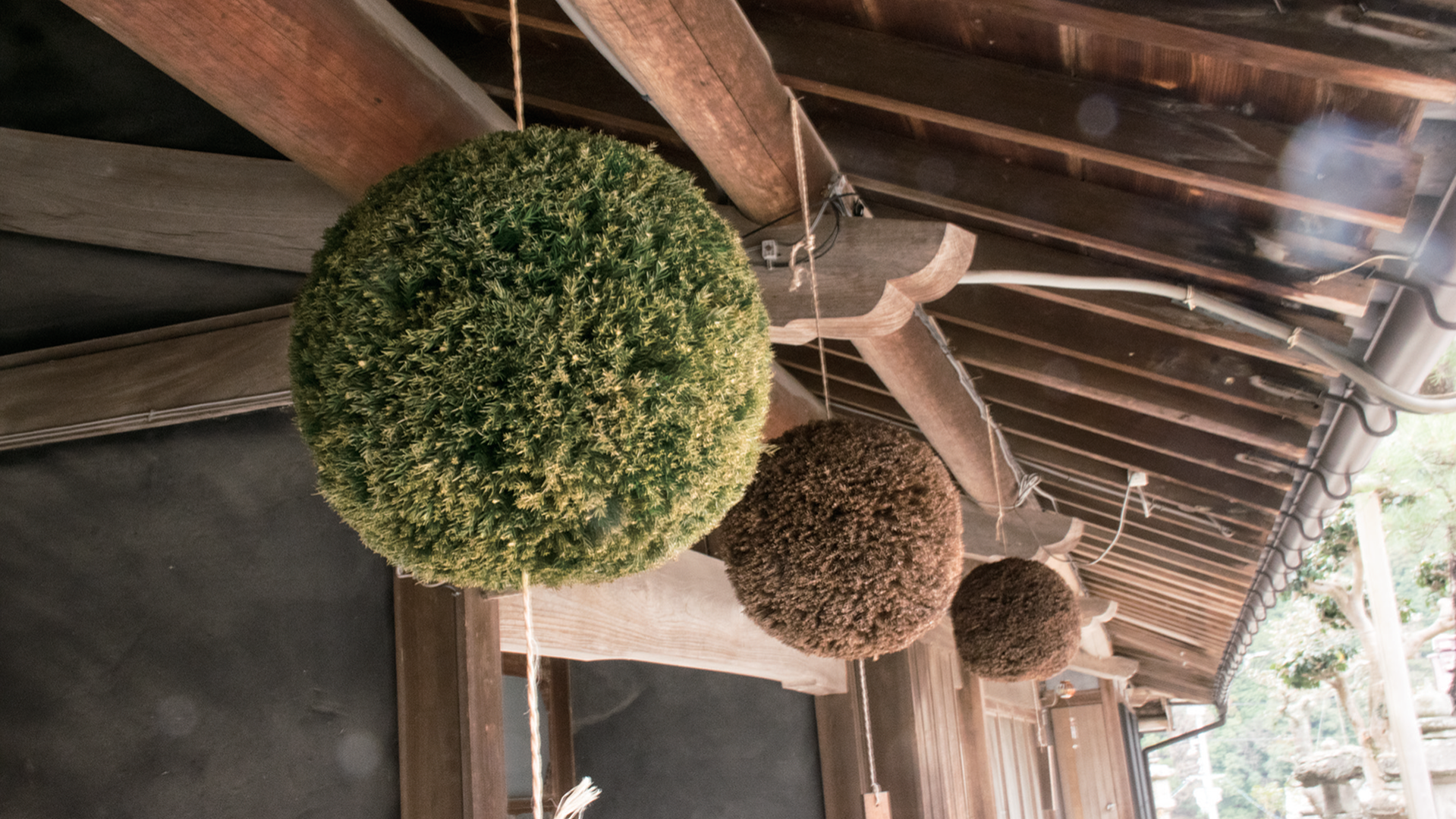 倉本酒造の外観・施設