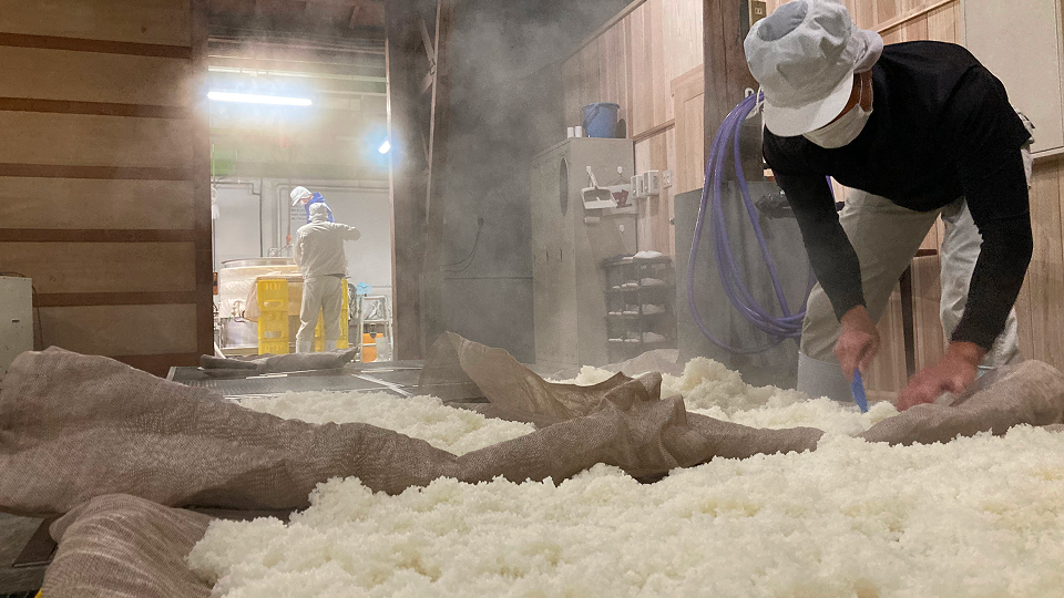 澤田酒造での体験の様子