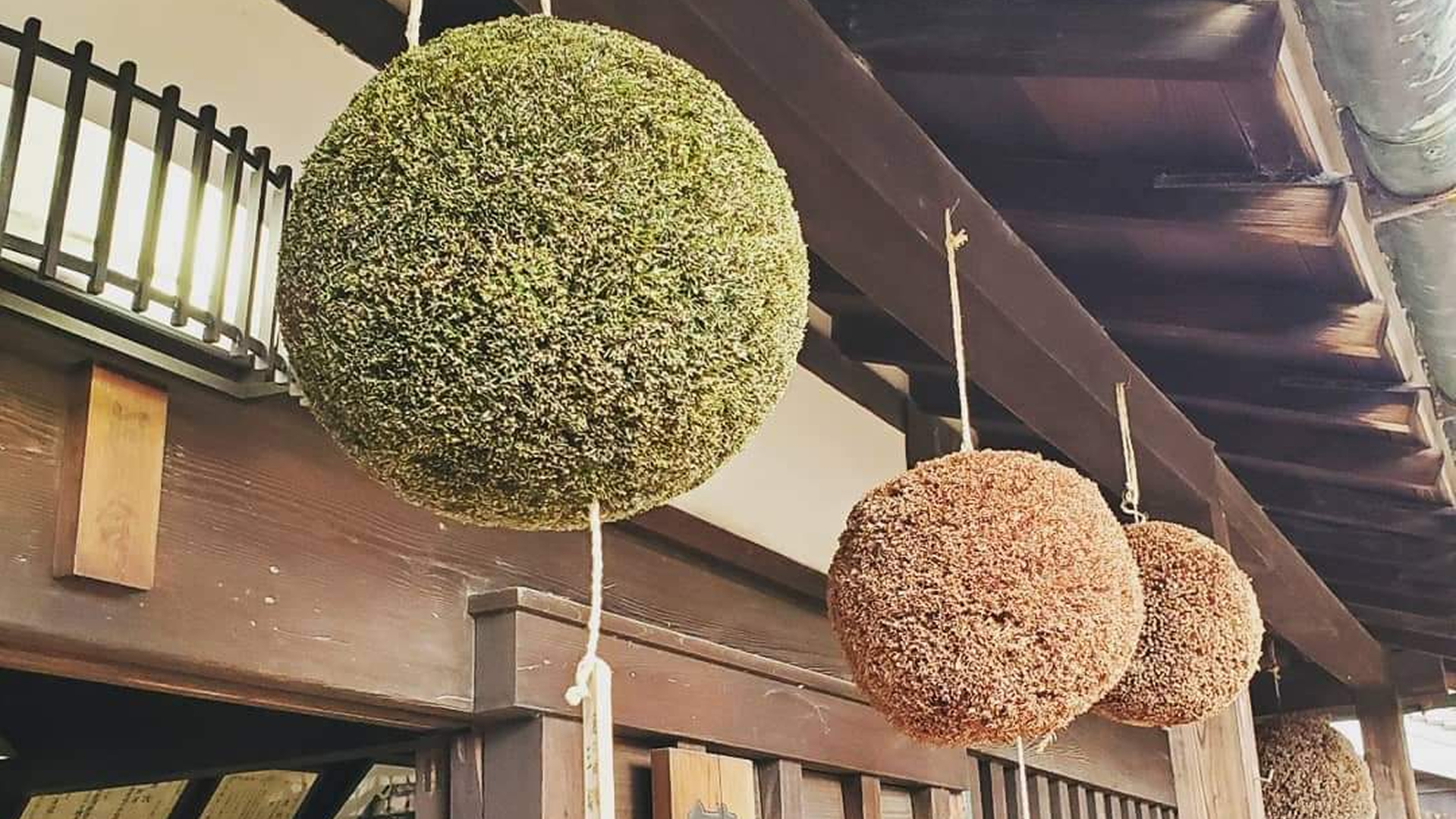 河合酒造の外観・施設