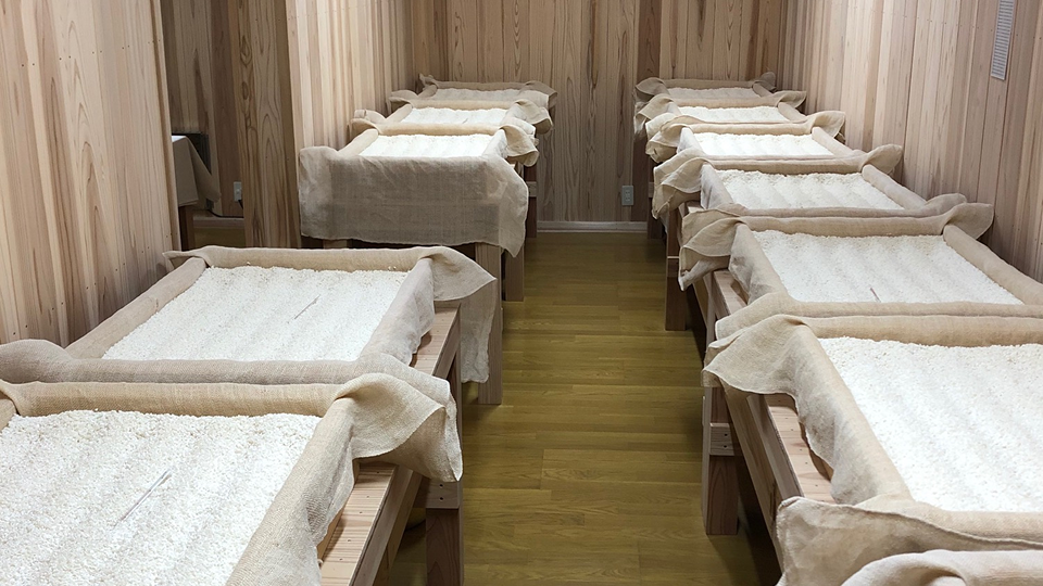 喜多酒造での体験の様子