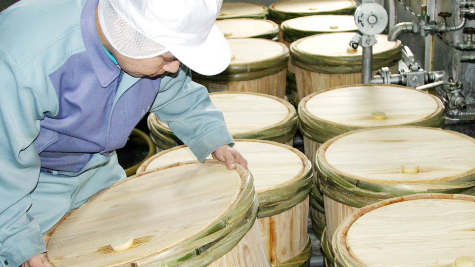 長龍酒造での体験の様子