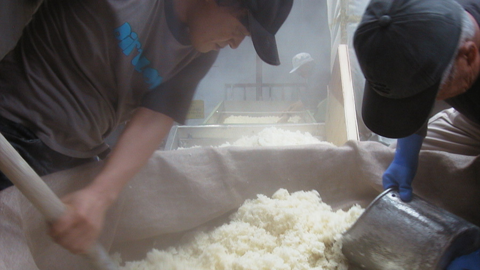 葛城酒造での体験の様子