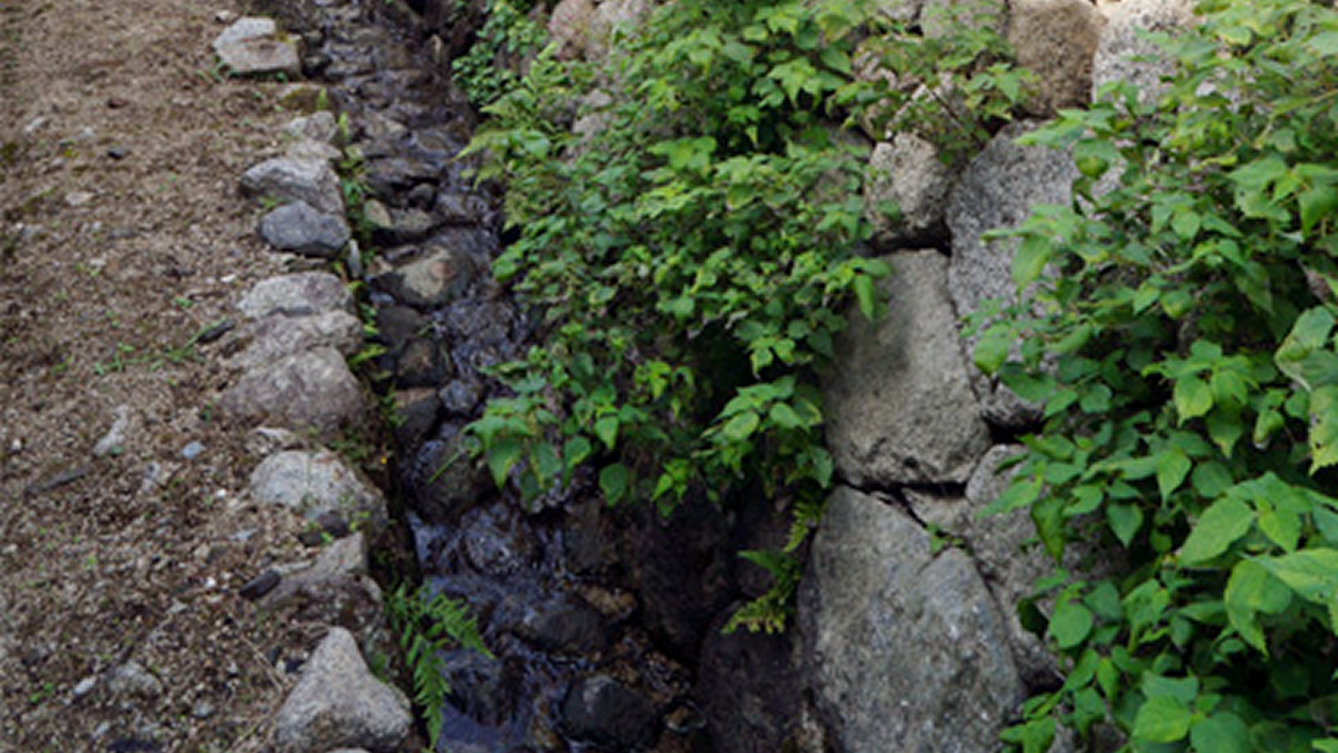 葛城酒造の外観・施設