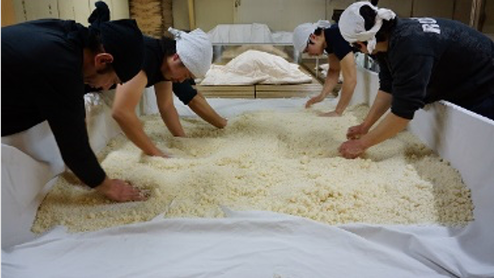 北岡本店での体験の様子