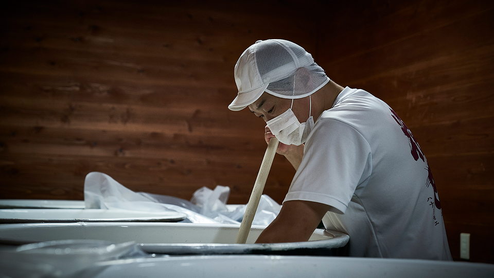 美吉野醸造での体験の様子