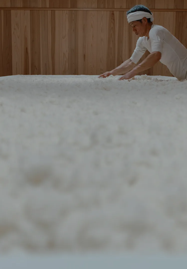 Immerse in Japan NARA