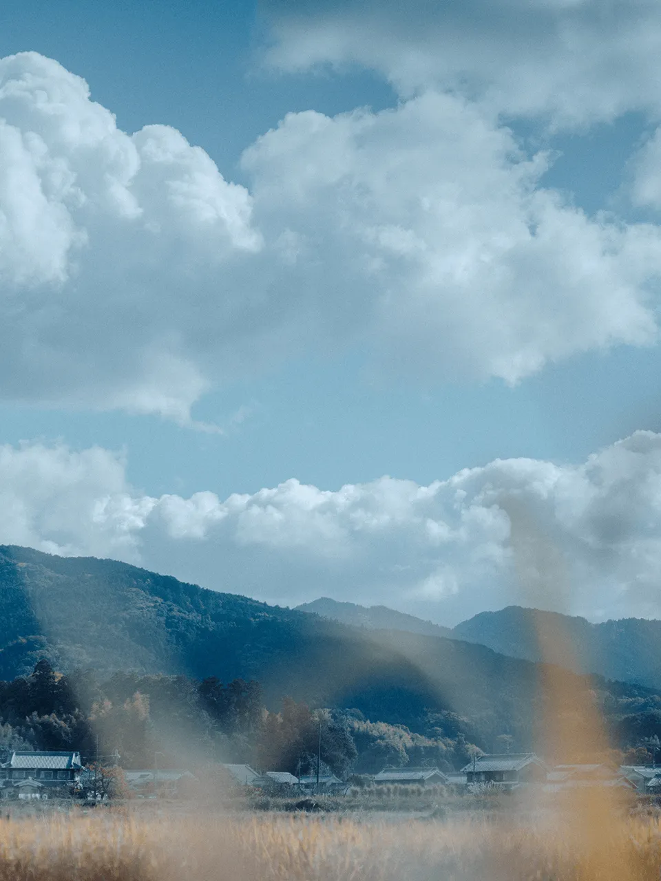 奈良の風景写真