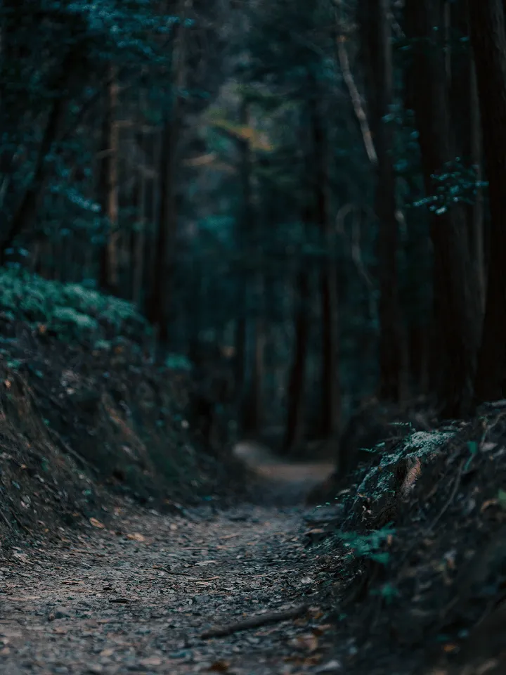 奈良の風景写真