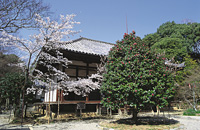 白毫寺(写真：奈良市観光協会)