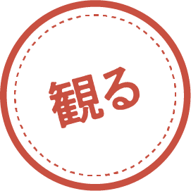 観る