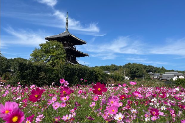 法起寺