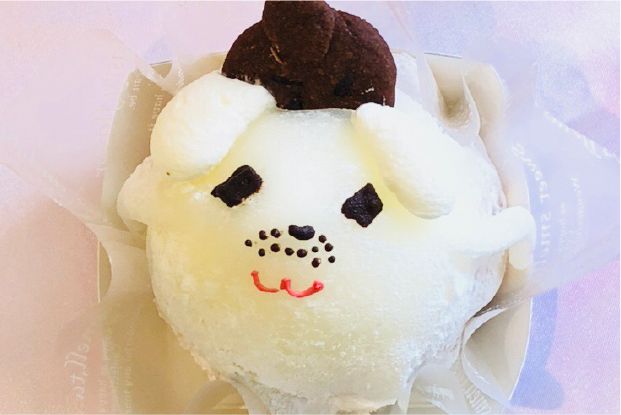 cake hinata