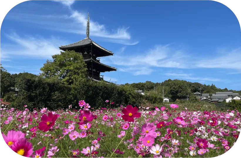 法起寺