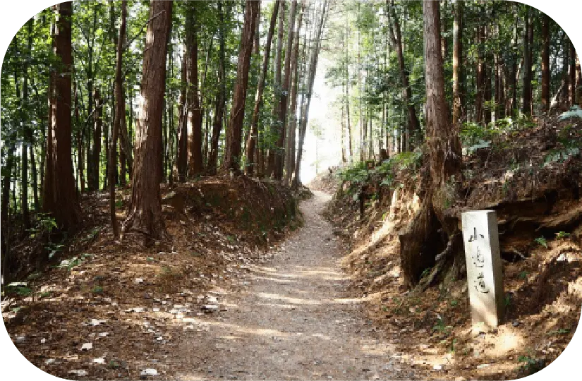 山の辺の道