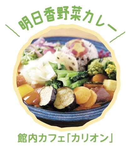 明日香野菜カレー